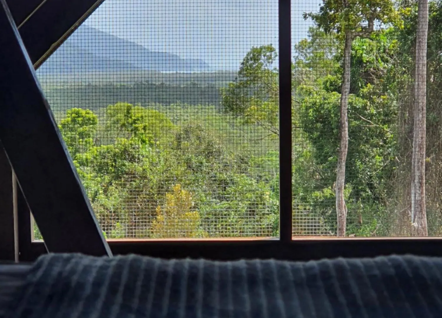 Daintree Holiday Homes - La Vista Cow Bay